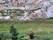 Rocky Mountain National Park