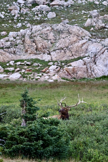 Rocky Mountain National Park