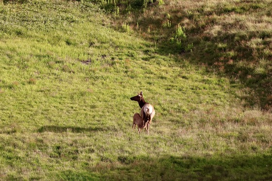 Rocky Mountain National Park