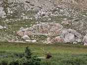 Rocky Mountain National Park