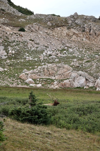 Rocky Mountain National Park