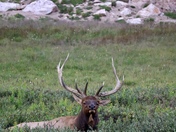 Rocky Mountain National Park