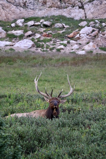 Rocky Mountain National Park