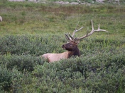 Rocky Mountain National Park
