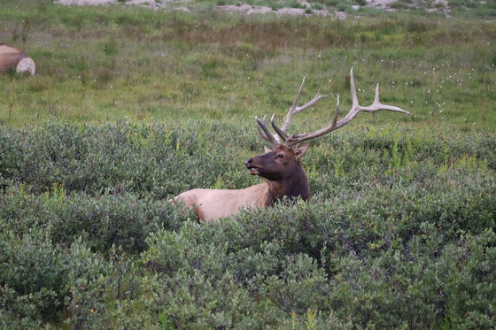 Rocky Mountain National Park