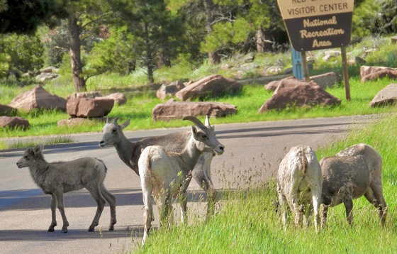 Canyon Rim campground