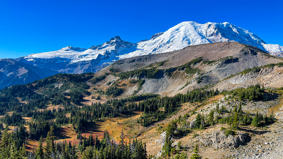 Mount Rainier National Park