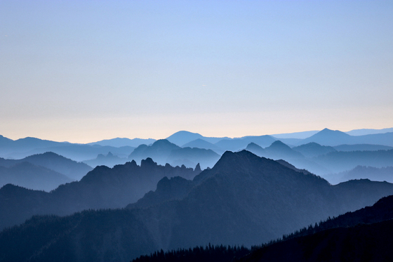 Mount Rainier National Park
