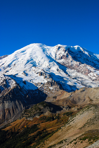 Mount Rainier National Park