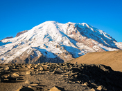 Mount Rainier National Park