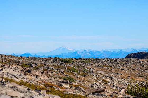 Mount Rainier National Park