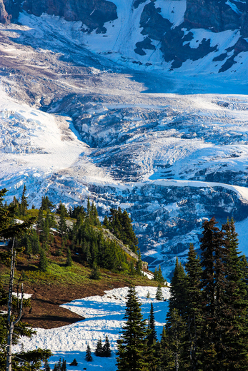 Mount Rainier National Park