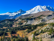 Mount Rainier National Park