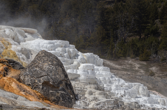 Yellowstone National Park