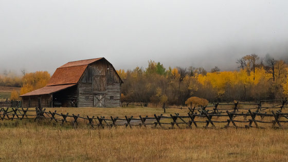 Gallatin National Forest