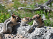 Grand Teton National Park