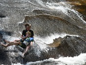 Pisgah National Forest