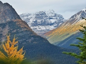  Fall in Kootenay National Park