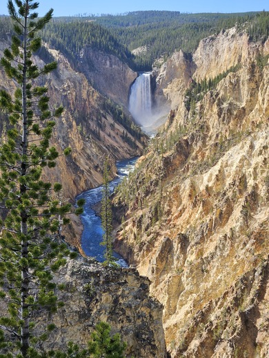Yellowstone Grand Canyon