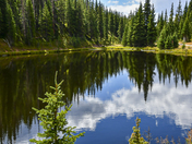 Rocky Mountain National Forest