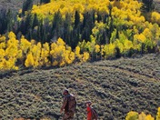 Monty Mountain Range