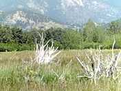 Rocky Mountain National Park