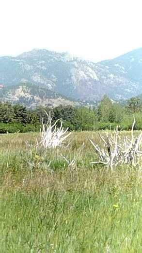 Rocky Mountain National Park
