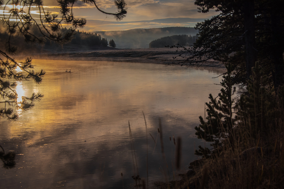 Yellowstone National Park