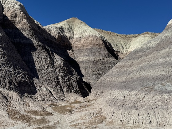 Petrified National Park