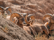 Badlands National Park