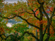Blue Ridge Parkway