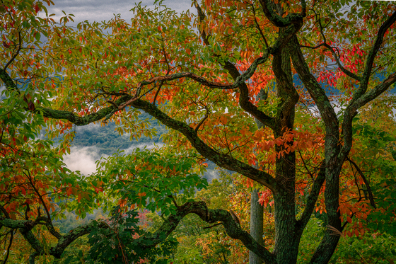 Blue Ridge Parkway