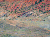Arches National Park 