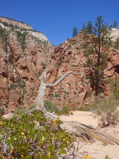 Zion National Park