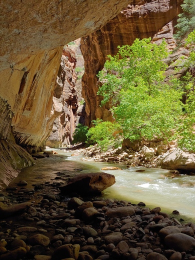 Zion National Park