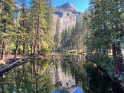 Yosemite National Park