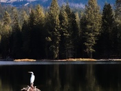 Mt. Lassen National Park
