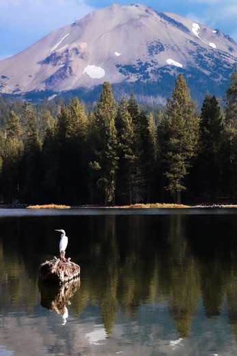 Mt. Lassen National Park