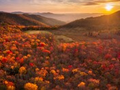 Monongahela National Forest