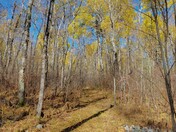 Great day for hiking!