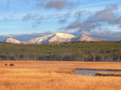 Yellowstone National Park
