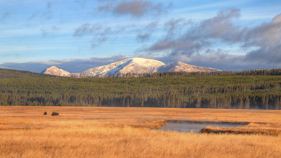 Yellowstone National Park