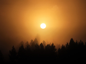 Yellowstone National Park 