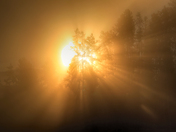 Yellowstone National Park 
