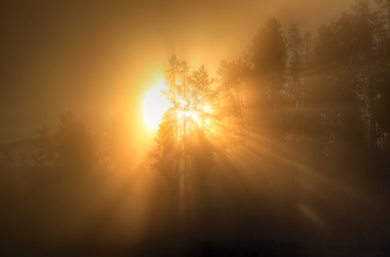 Yellowstone National Park 