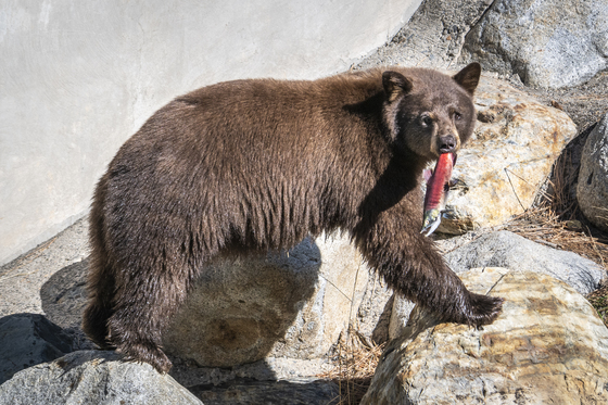 Lake Tahoe Basin Mgmt Unit