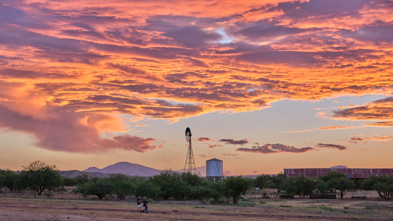 Las Cienegas NCA