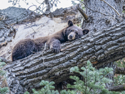 Lake Tahoe Basin Mgmt Unit