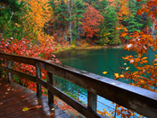 Rainy Day at Pink Lake