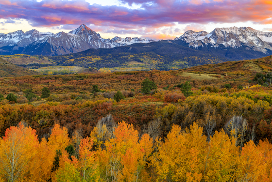 Dallas Divide